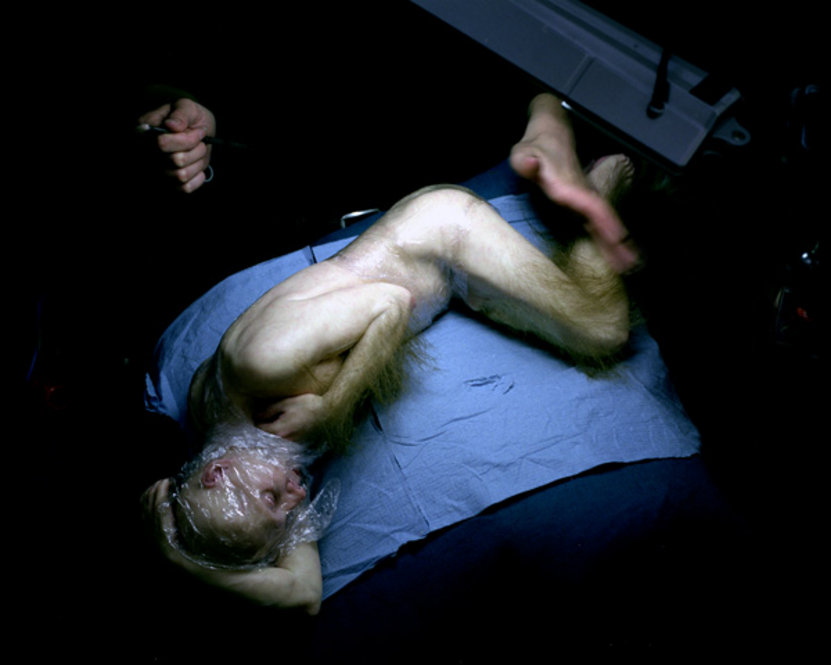 Ron Mueck: Hipergerçekçi devler