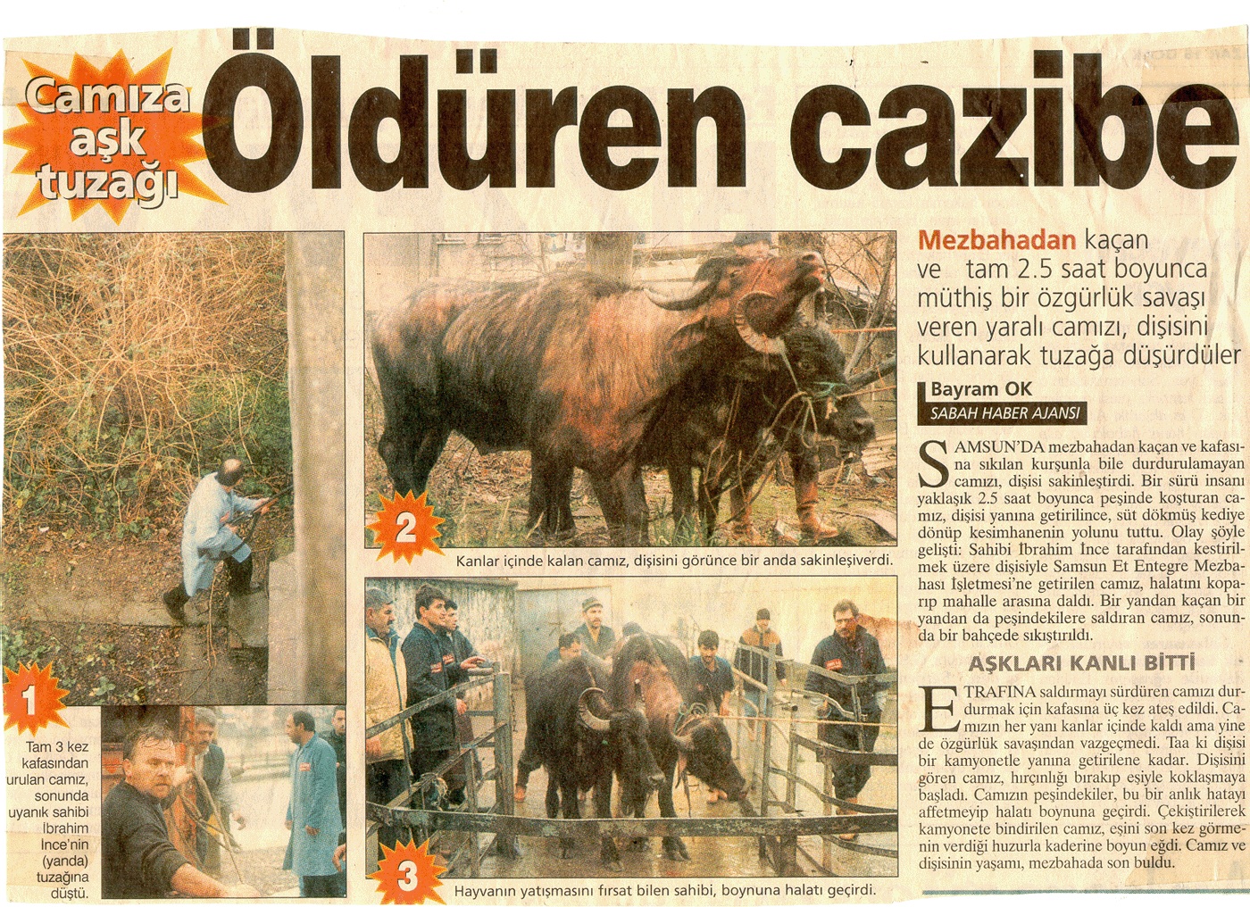 oldüren-cazibe