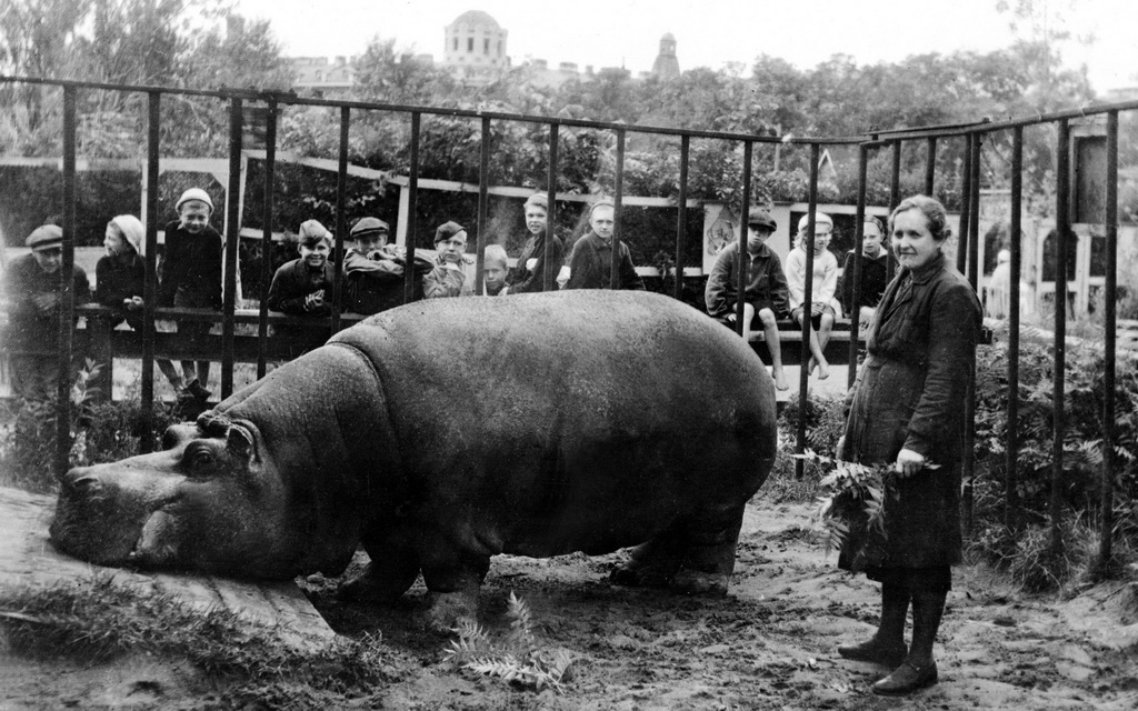 Leningrad Kuşatması’nın ilk öldürdüğü: Fil Betty