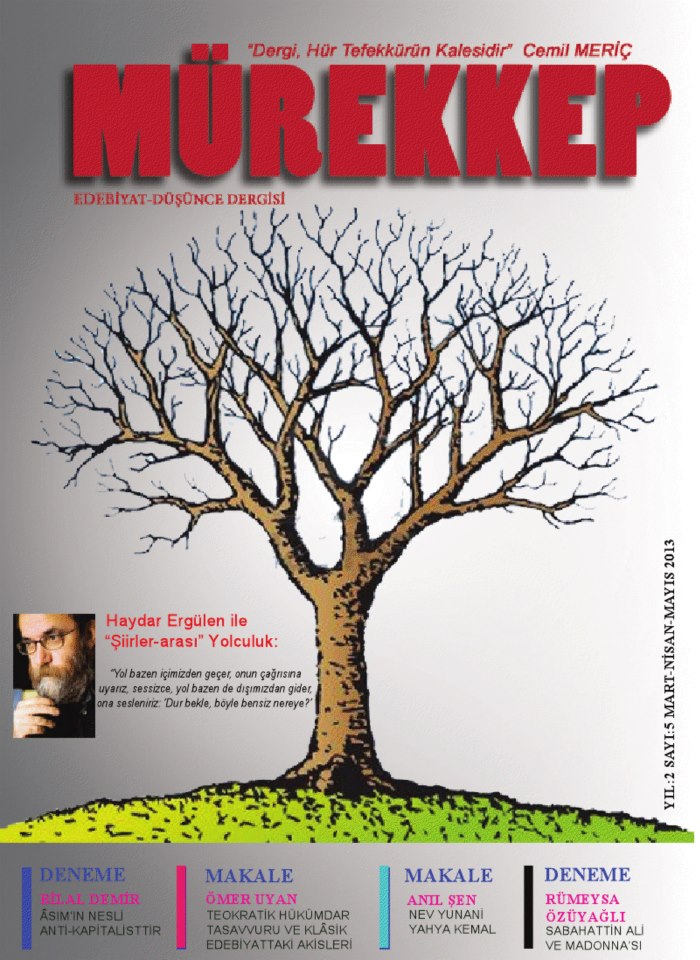 murekkep5